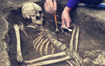 Cover image of Biting into ancient DNA